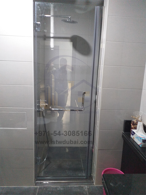 Shower Swing Door