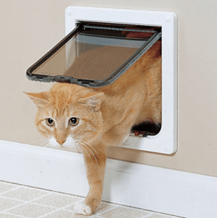 cat flap door installation in dubai