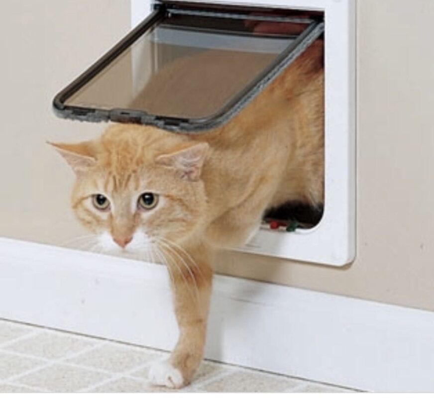 cat flap door installation